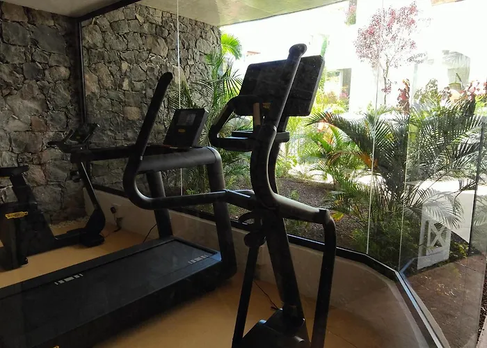 Garden Luxury Palm-mar